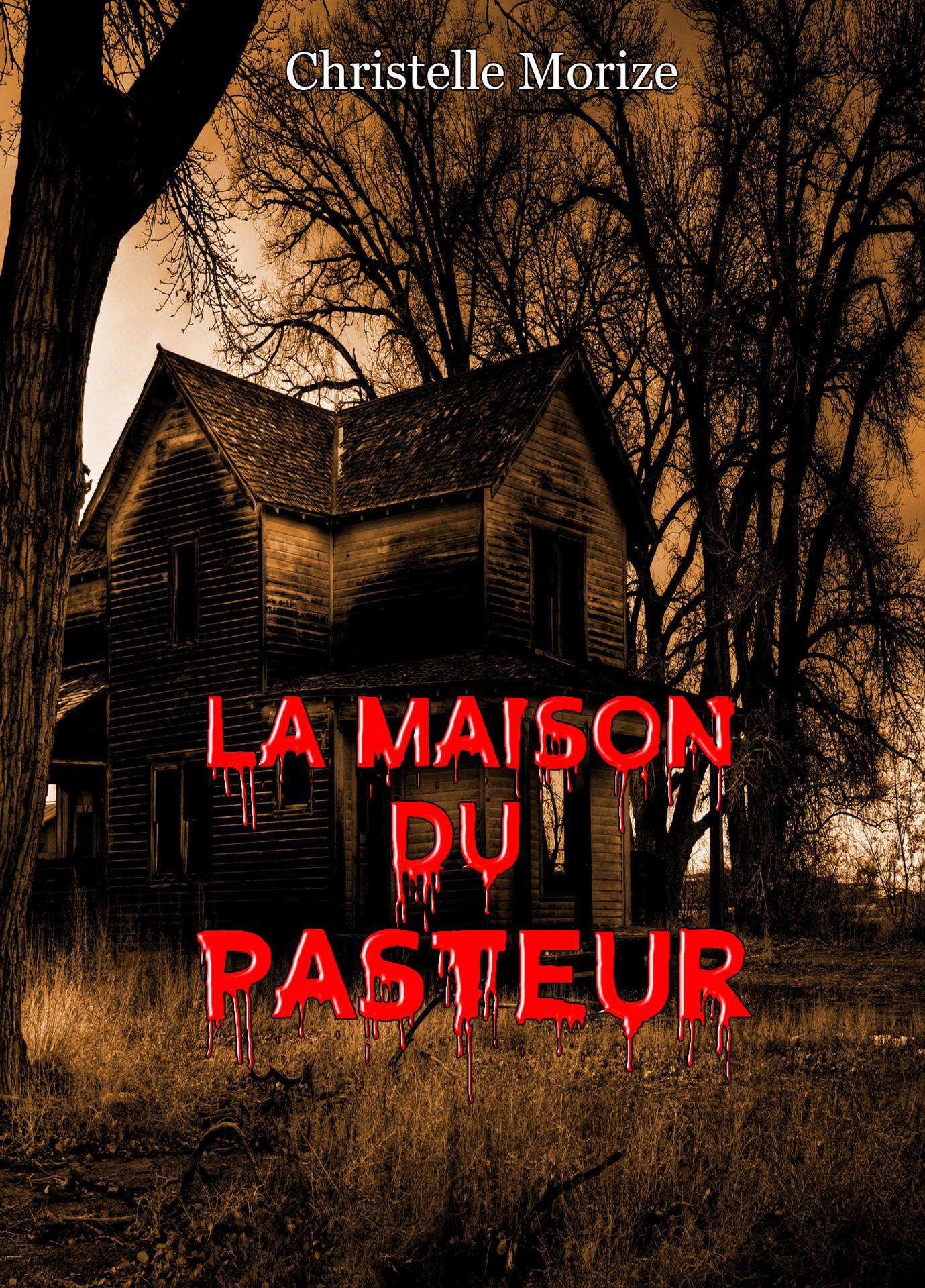 Couverture ebook 2